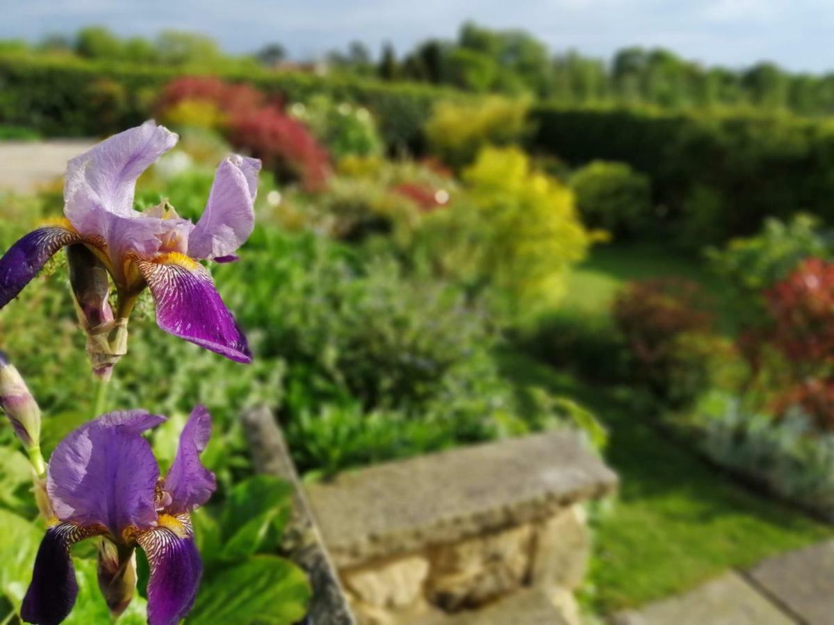 Meadow Cottage Bed & Breakfast Hawkhurst Esterno foto